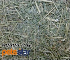 Alfalfa Hay 5kg Alfalfa Hay 5kg